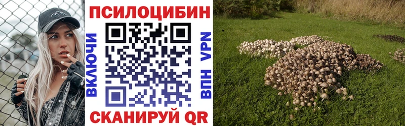 Псилоцибиновые грибы Magic Shrooms  Алупка 